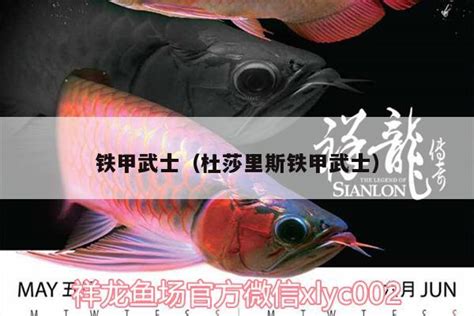 鐵甲 魚|铁甲鱼